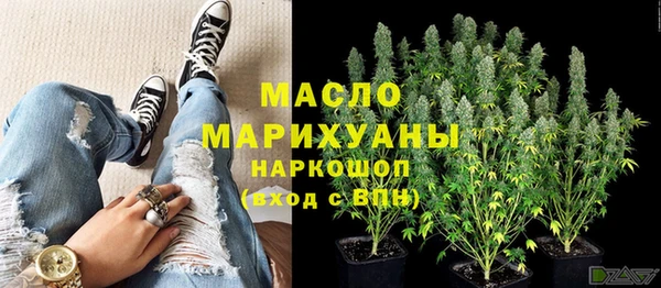 молекула духа Арсеньев