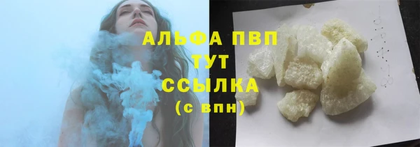 молекула духа Арсеньев