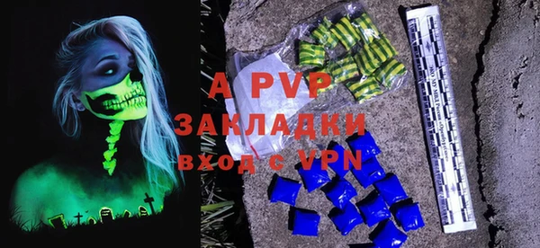 молекула духа Арсеньев