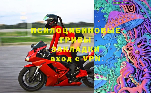 молекула духа Арсеньев