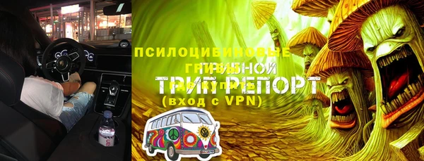 молекула духа Арсеньев