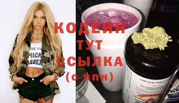 молекула духа Арсеньев