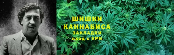 молекула духа Арсеньев