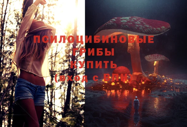 СК Армянск