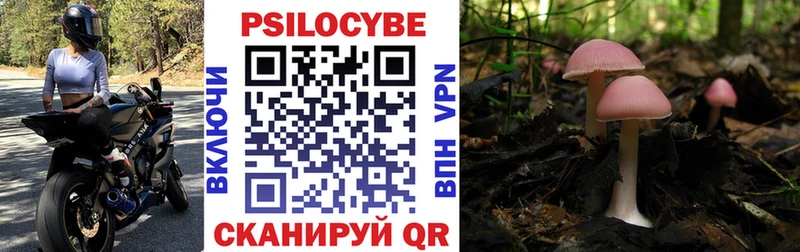 Псилоцибиновые грибы GOLDEN TEACHER  Калтан 